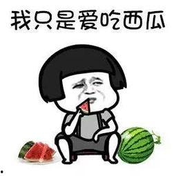 娱乐爆笑吃瓜,吃瓜群众笑翻天！